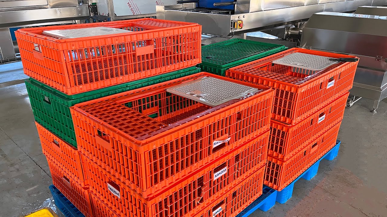 Live Bird Crate Washer - Automatic Discharge of Chicken Droppings