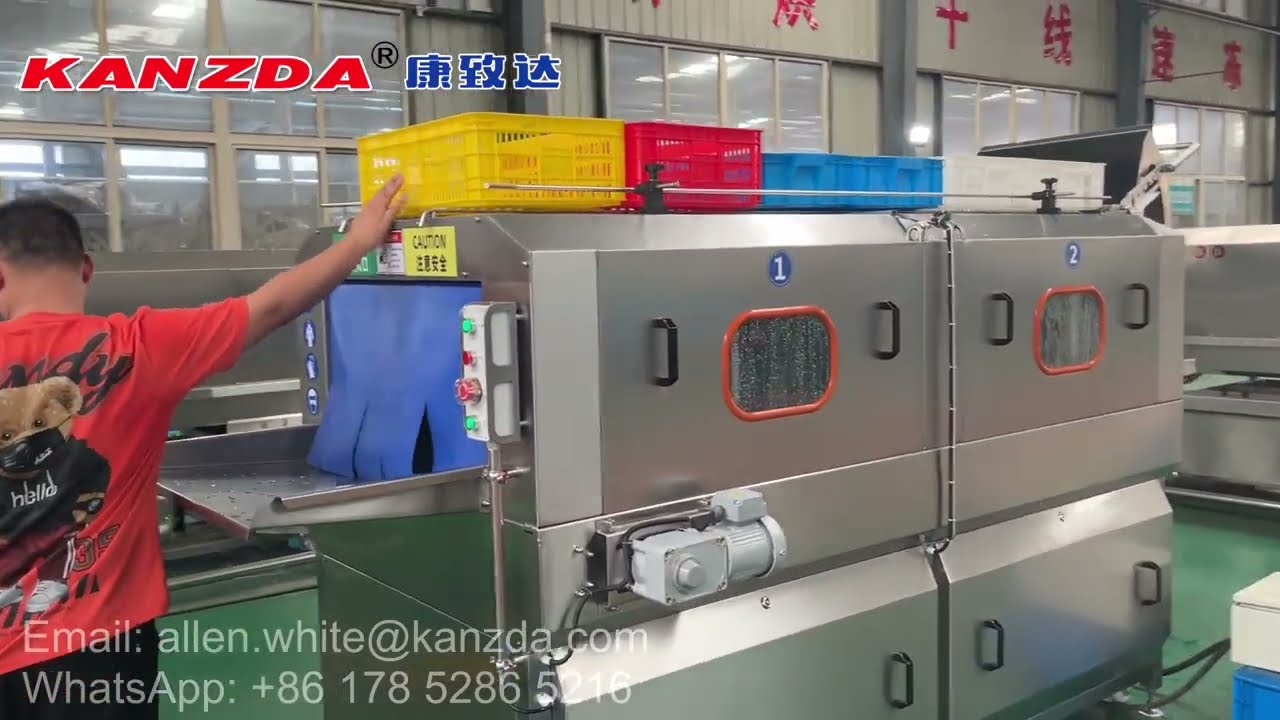 Plastic Box Washing Machine - Test With Blueberry Juice